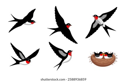 A collection of vector illustrations of swallows in flight and in a nest. The birds are depicted in various dynamic poses with black, white, and red coloring. Perfect for nature-themed designs, birdwa