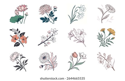 A collection of vector illustrations of twelve different elegant flowers including lotus hibiscus chrysanthemum daffodil daisy jasmine lily marigold peony sunflower tulip and orchid 12 flower bundles