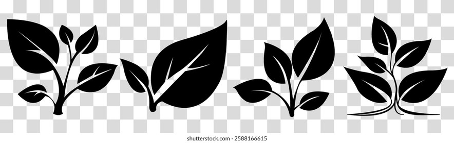 Collection of vector illustrations of various plant leaves and stems suitable for nature-themed designs and projects