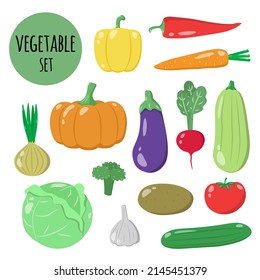 Collection of vector illustrations of vegetables. Healthy Fresh Harvest, vegan farm food