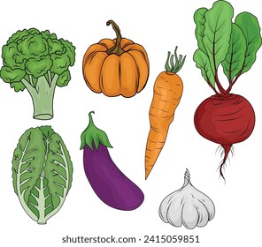 Collection of vector illustrations of vegetables, pumpkin, eggplant, beet, mustard greens, carrots