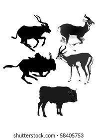 Collection of vector images of antelopes