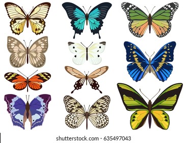 Collection of vector images of different-colored butterflies of different types in a flat style.