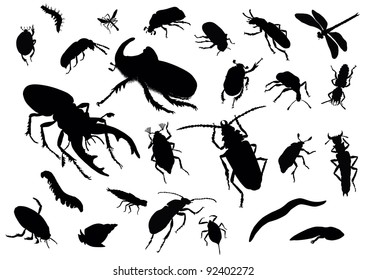 Collection of vector insect silhouettes 