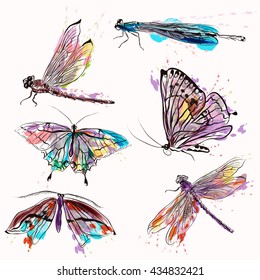 A collection of vector insects for design