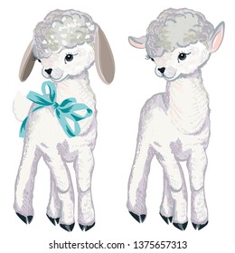 Collection of vector lamb for design in watercolor style