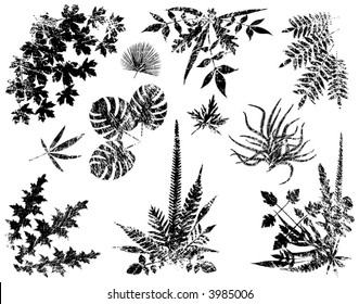 Collection of vector leaf elements with grunge