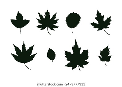 Collection of vector leaves in flat style. The concept of nature, autumn, leaf fall. Seasonal decoration on isolated background. Leaves for cover, advertising, wallpaper and background, banner. EPS10
