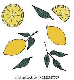 collection of vector lemons. elements for design, posers, stickers. 