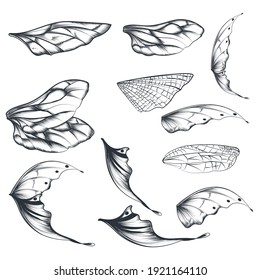 Collection of vector light wings for design