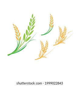 Collection of Vector logo design and elements of organic wheat grain, wheat ears, wheat seed, or wheat rye, prosperity symbol,Vecter illustration EPS 10.
