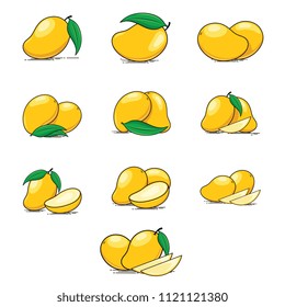 Collection of vector mangoes. Vector illustration