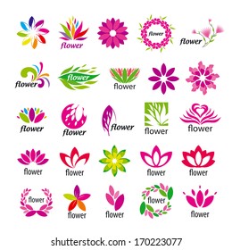 Collection of vector multicolored floral icons