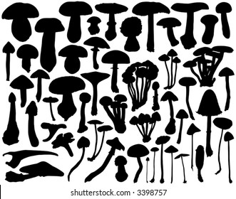 Collection of vector mushroom and toadstool outlines