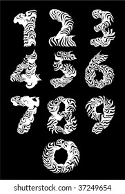 collection of vector numbers