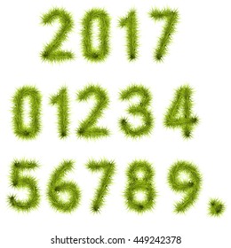 Collection of vector numbers decorated with  pine branches