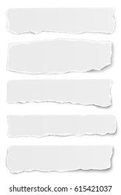 Collection of vector oblong torn paper tears isolated on white background