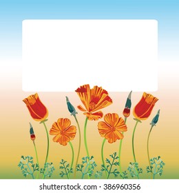 Collection of vector orange flowers, buds and leaves of california poppy growing in garden. With colored gradient background and white box for your text.