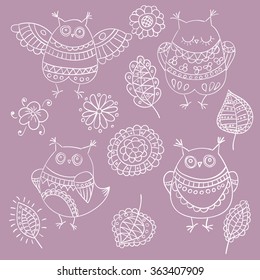 Collection of vector owls, leaves and flowers for design