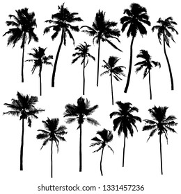 Collection of vector palm silhouettes isolated on white background for your design