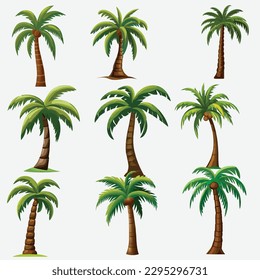 Collection of Vector Palm Trees in Different Variants, Isolated on a White Background