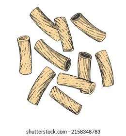 Collection of vector pasta Tortiglioni. Hand-drawn color sketches. Vintage style engraving