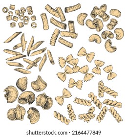 A collection of vector pasta of various varieties. Hand-drawn color sketches. Vintage style engraving