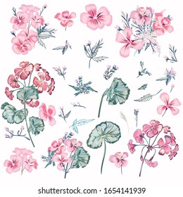 Collection of vector pink flowers and leaves in vintage style for design