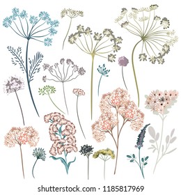 Collection of vector plants and flowers for design