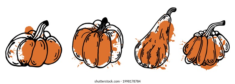 Collection of vector pumpkin icons. Hand-drawn doodle. Black thin contour of a vegetable with a colored spot. Food sketch. Isolated illustration on white. Halloween outline symbol. Flat style.