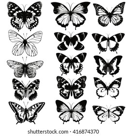 Collection Vector Realistic Butterflies Black Color Stock Vector ...