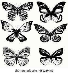 Silhouette Black Butterflies Collection Butterflies Stock Vector ...