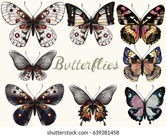 Collection of vector realistic colorful butterflies for design