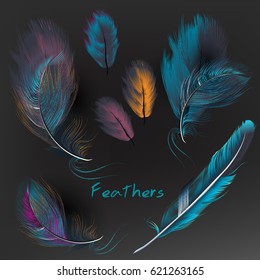 Collection of vector realistic colorful feathers on dark background