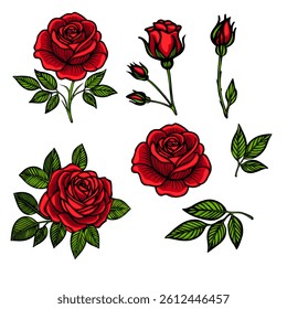 A collection of vector red roses in various stages of bloom, featuring detailed leaves. The design includes fully bloomed roses, buds, and leaves, showcasing vibrant colors and intricate line work.