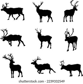 A collection of vector Reindeers for artwork compositions