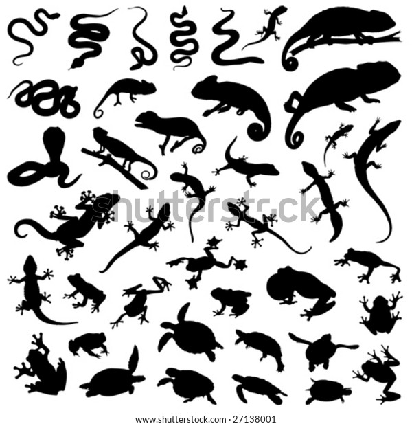 Collection Vector Reptiles Amphibians Stock Vector (Royalty Free) 27138001