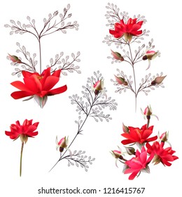 Collection of vector rose flowers in red and pink colors for design