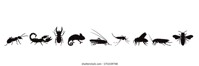 Collection of vector silhouette of animals on white background. Symbol of nature and insect.