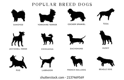 Collection of vector silhouette different breeds of dogs on white background.
