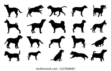 Collection of vector silhouette different breeds of dogs on white background.
