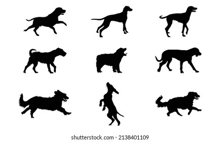 Collection of vector silhouette different breeds of dogs on white background.
