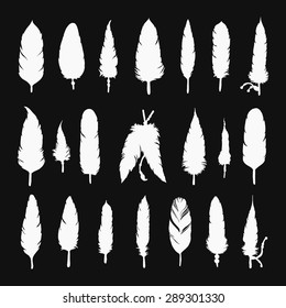 Collection of vector silhouette feathers. Hand drawn illustration with different indian feathers isolated on black background