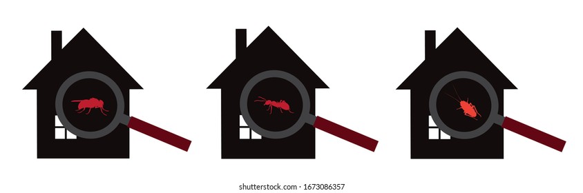 Colección de silueta vectorial de insectos en la marca de origen sobre fondo blanco. Símbolo de dejar de molestar a los insectos y a las casas infestadas.