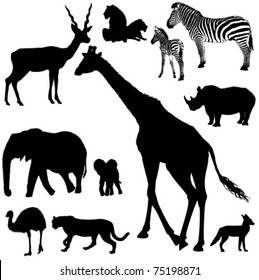 Collection of vector silhouettes of African animals