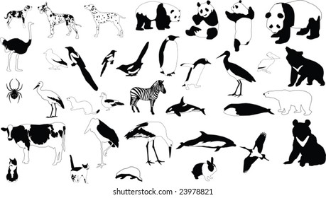 Collection of vector silhouettes of black-and-white animals