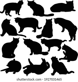 Colección de siluetas vectoriales de gatos en diferentes poses. Iconos negros de gatos aislados en fondo blanco
