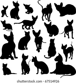 collection of vector silhouettes of cats on a white background