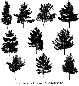 Collection of vector silhouettes of coniferous and deciduous trees isolated on white background.