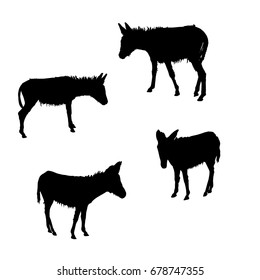 Collection of vector silhouettes donkey, black color, isolated on white background